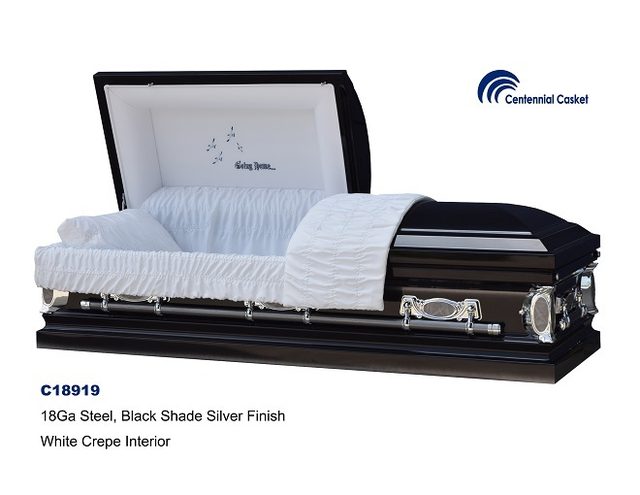 Mirror Going Home casket